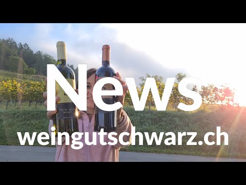 Herbst Degustation | Weingut Schwarz News Herbst 2021
