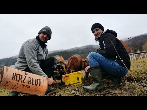 Der Ruf der Tiere | mit Herzblut zum Wein Vlog #125