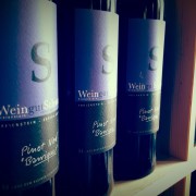 pinot-noir-barrique-weingut-schwarz-2