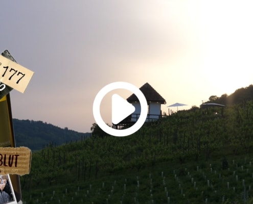 Den schönsten Sonnenuntergang erlebt man bei uns mitten im Rebberg. Mit einem Glas Schwarz Wein, wird der Abend zu einem unvergesslichen Erlebnis.