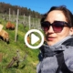 Frühling im Rebberg und grüssen NICHT vergessen!!!