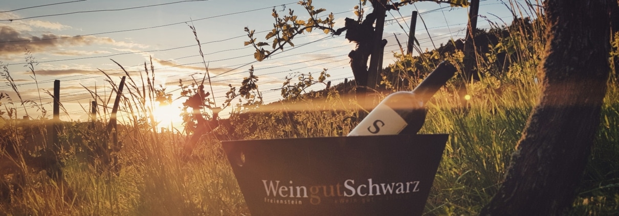 Weingut Schwarz mit Sonnenuntergang im Weinkuehler 2020