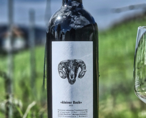 kleiner Bock