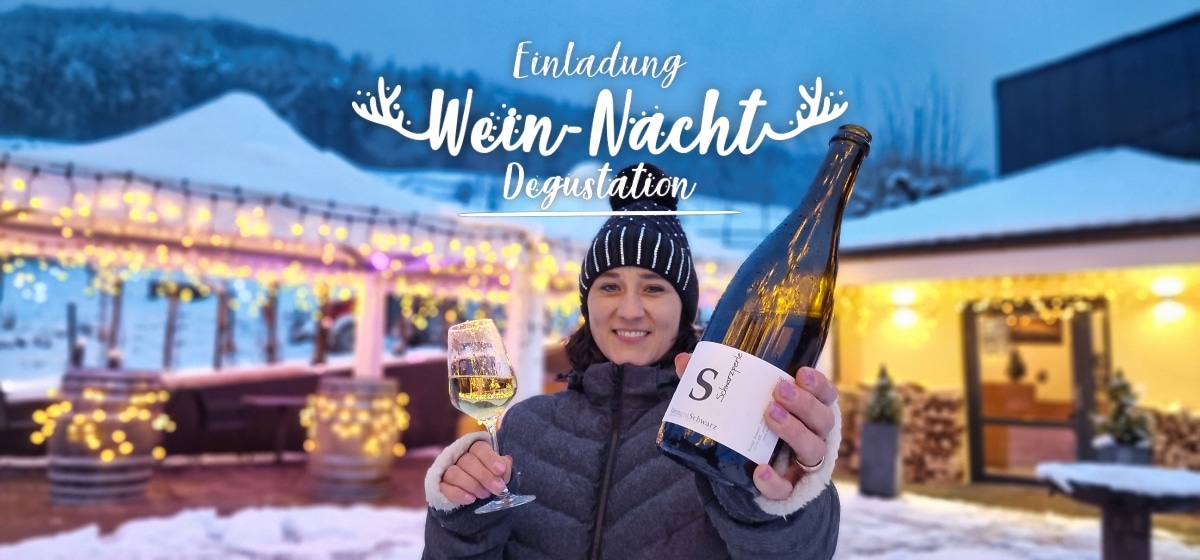 weihnachtszeit einladung