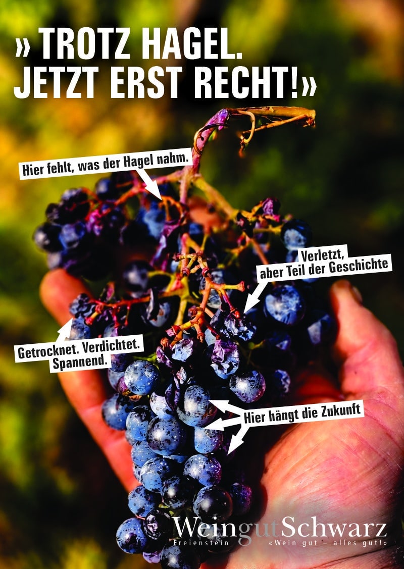 Hagel weingut schwarz 2026